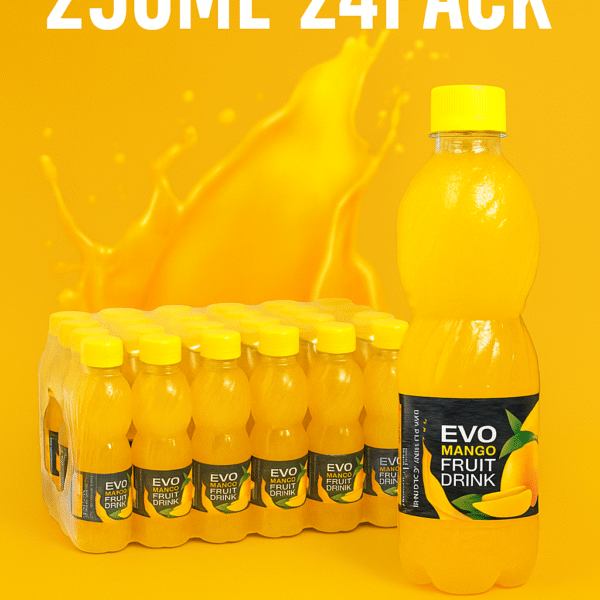 EVO Mango Juice 250ML 24 Pack – 608539380930