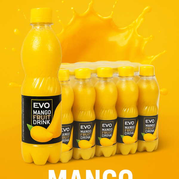 EVO Mango Juice 250ML 12 Pack - 608539381029